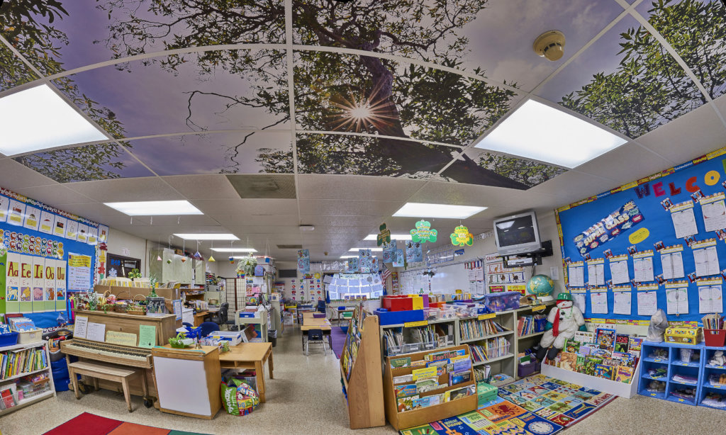 Enhancing Education With Tree Ceilings