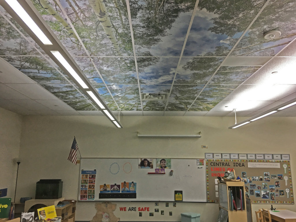 Enhancing Education With Tree Ceilings