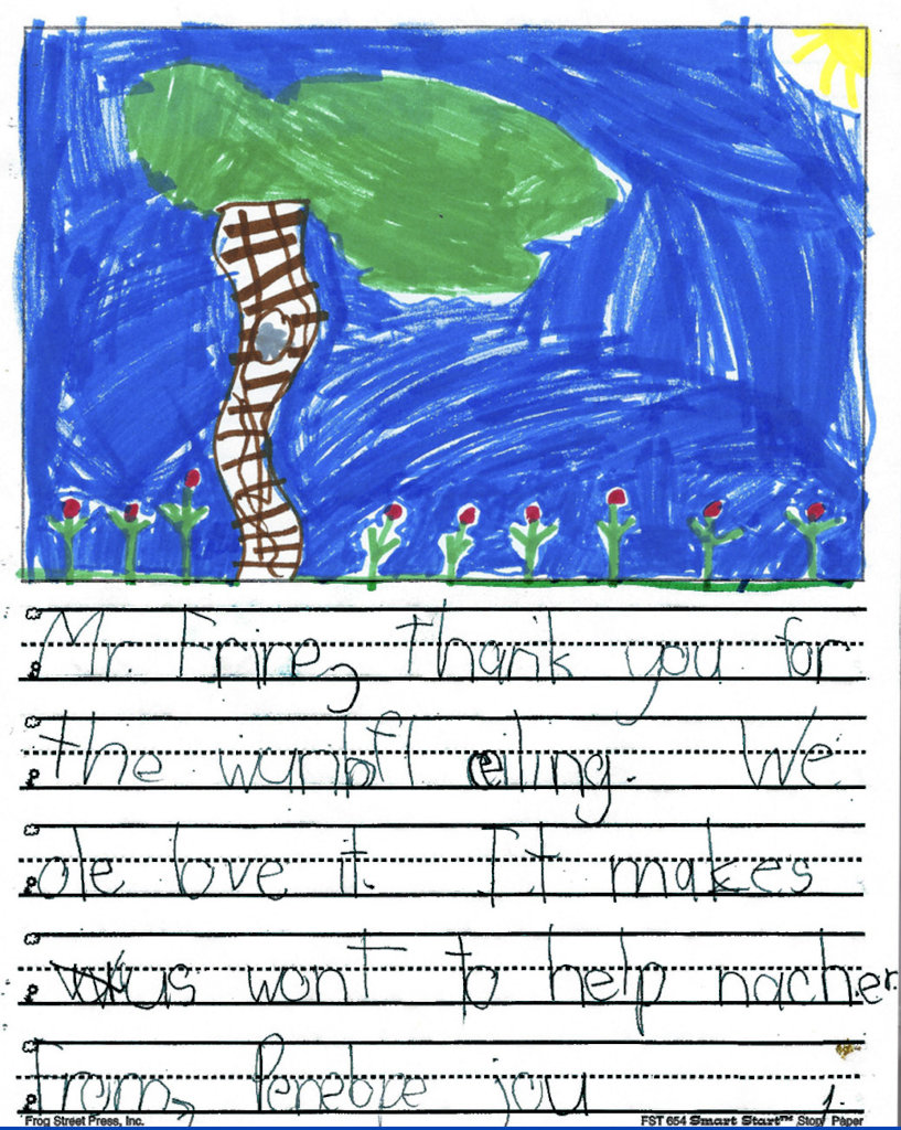 Enhancing Education With Tree Ceilings