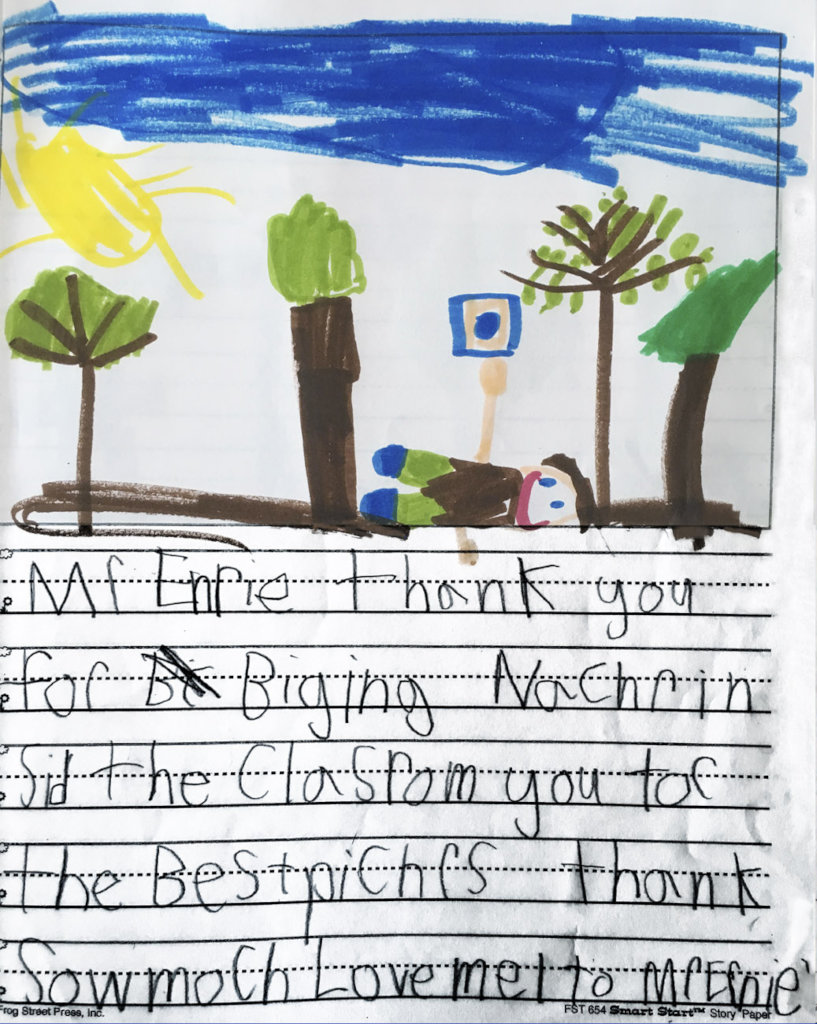 Enhancing Education With Tree Ceilings