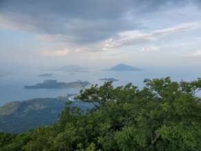 Gulf of Fonseca, macaw's habitat range