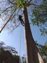 Surveying nests for activity Dec 2020