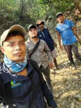 Macaw team