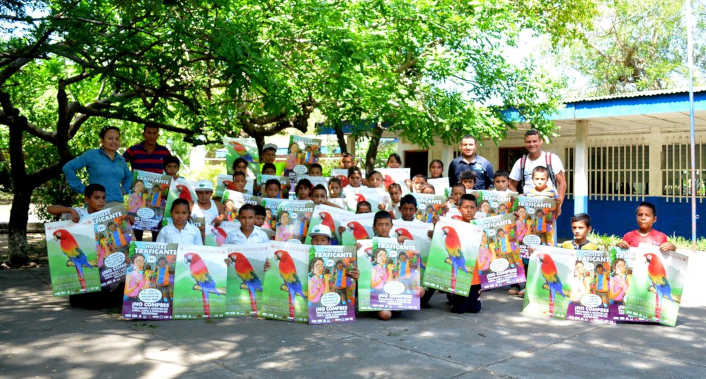 Save a Magnificent Macaw from Regional Extinction