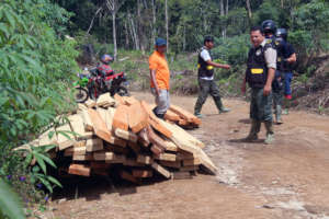 Joint Patrol with Forestry Policemen