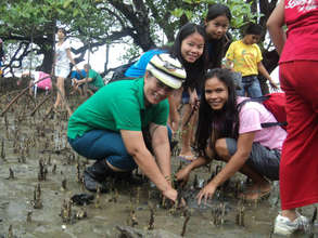 Saving the mangrove area is one way to save