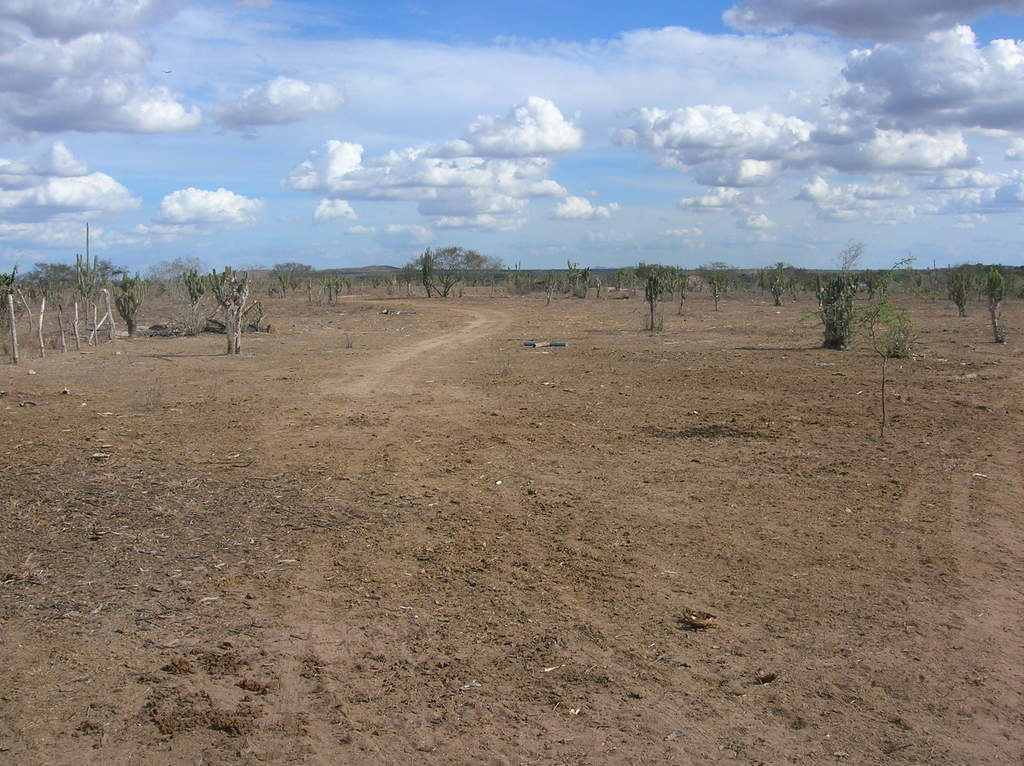 Climate Change has no boundaries:Help rural Brazil
