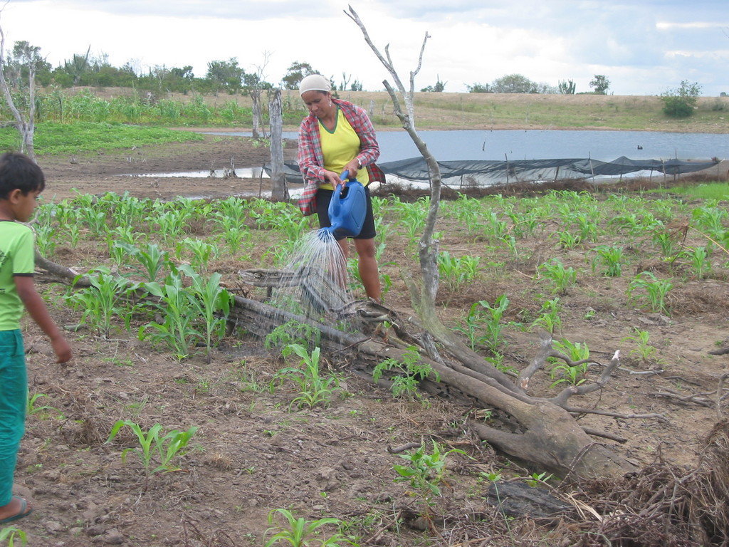 Climate Change has no boundaries:Help rural Brazil