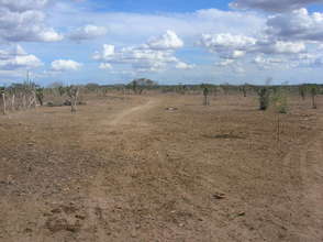 Desertification
