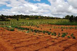 Efficient irrigation technologies