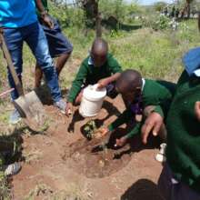 Tree Planting at Illaimiror primary school