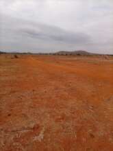 Bare land due to lack of rain