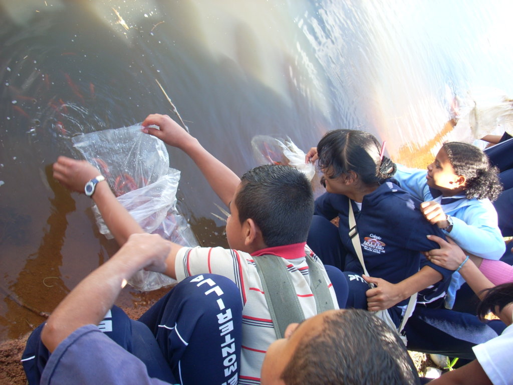 Educate women victims of drug trafficking Colombia