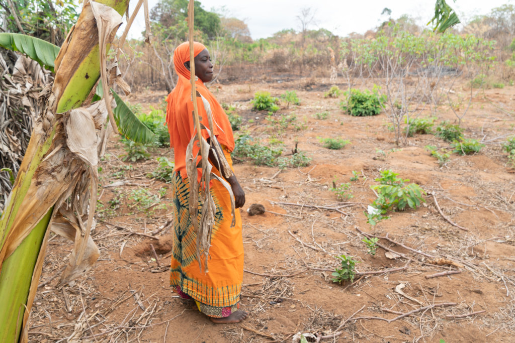 Stand Up for Women's Land Rights in Tanzania