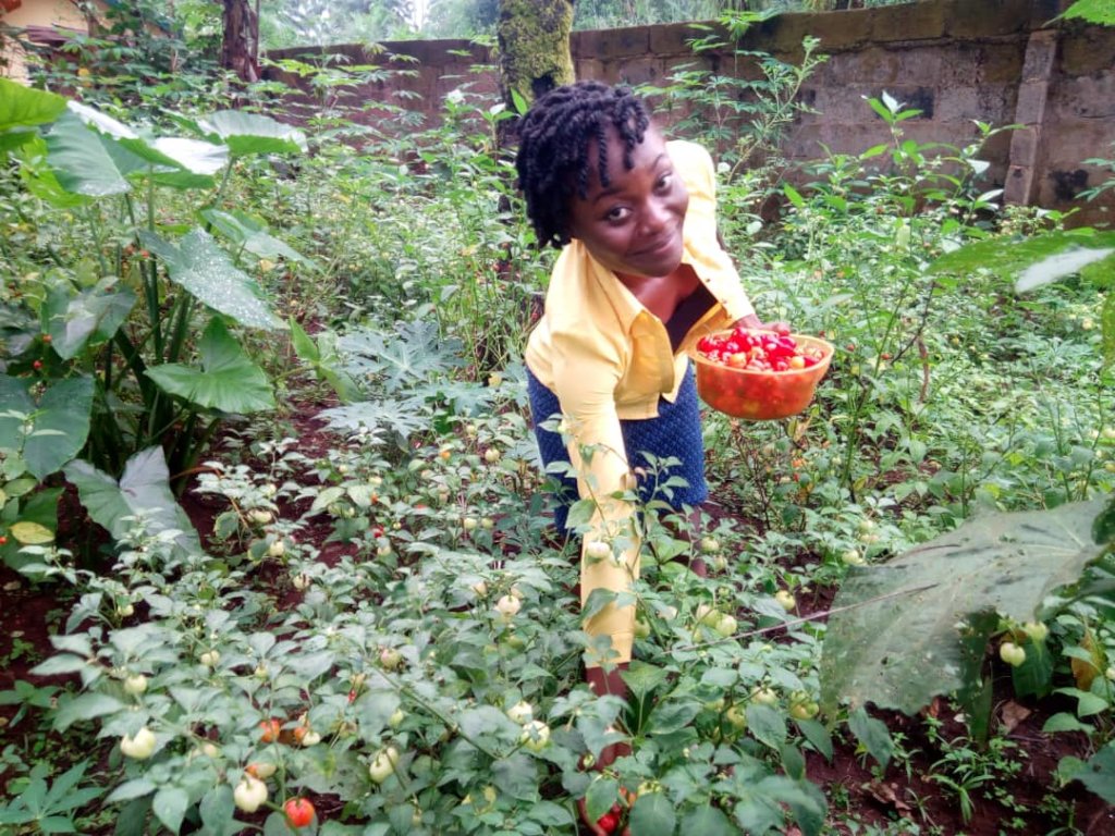 EMPOWER 200 RURAL WOMEN AND YOUTH WITH BEEKEEPING