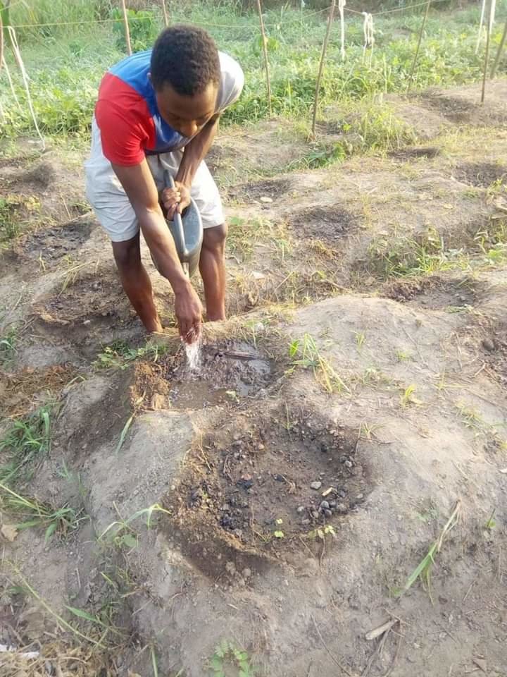 EMPOWER 200 RURAL WOMEN AND YOUTH WITH BEEKEEPING