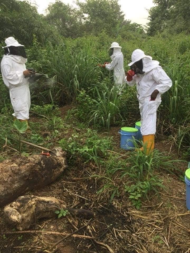 EMPOWER 200 RURAL WOMEN AND YOUTH WITH BEEKEEPING