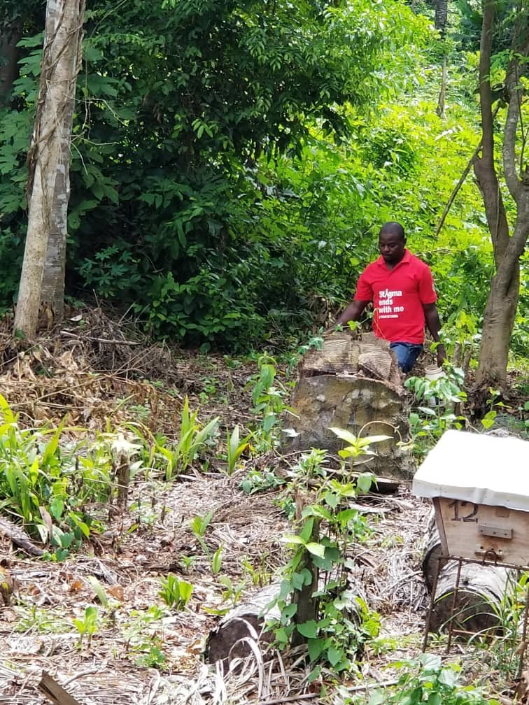 EMPOWER 200 RURAL WOMEN AND YOUTH WITH BEEKEEPING