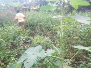 Organic Farming for rural women