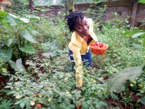 Organic Farming for rural women