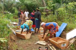 EMPOWER 200 RURAL WOMEN AND YOUTH WITH BEEKEEPING