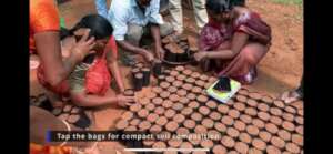 Preparing the soil for seeds