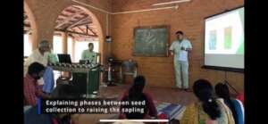 From seed collection to raising saplings