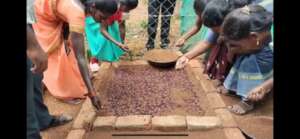 Women preparing the soil and planting seeds