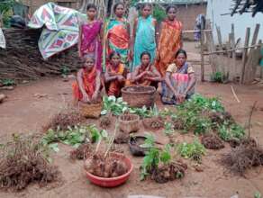 Wild foods and crops of Adivasi women of Bastar