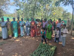 Women and children are engaged in the nurseries