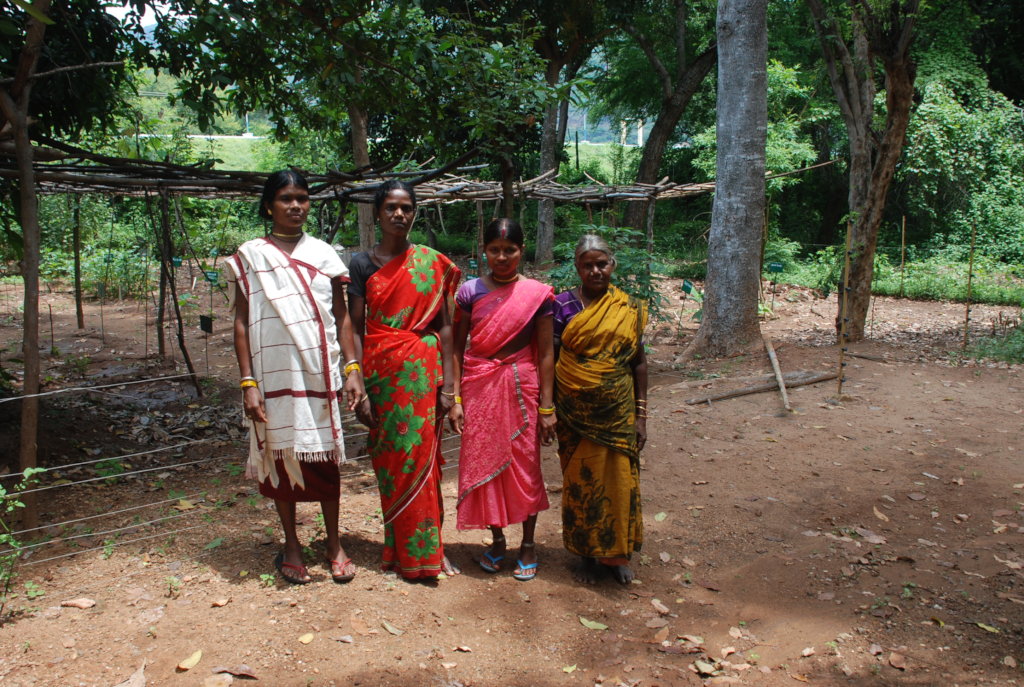 The youth who will learn from wild food experts