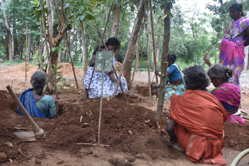 Women preparing the land