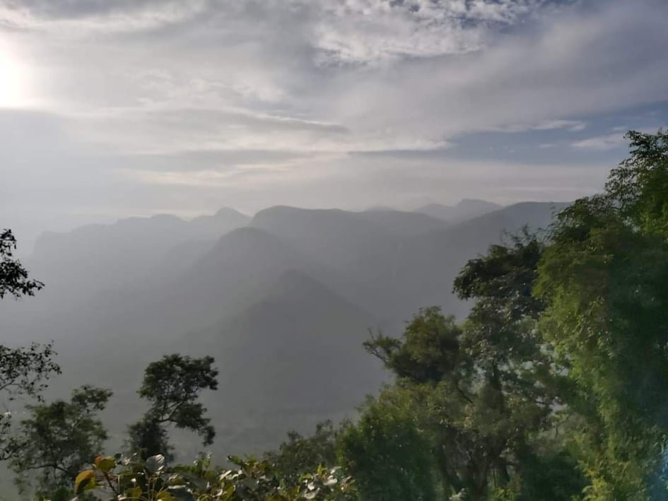 Adivasi Women Train Youth on Forest Foods in India