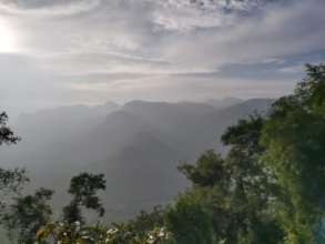 Scenic shola forest landscape in Adukkam