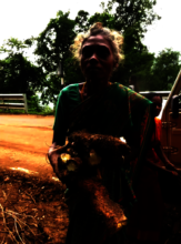 "You don't return empty-handed from the forest"