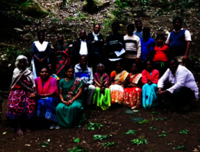 During the 2021 wild food workshop