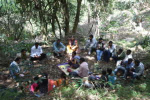 Conversations are exchanged about forest foods
