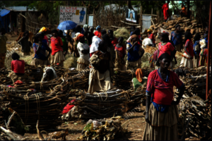 Help 250 Ethiopian women to be solar entrepreneurs