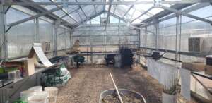 Reclaimed greenhouse
