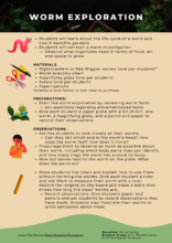 Workbook Page of Pollinator Curriculum