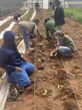 Plating at the People's Farm