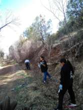 Irrigation canal reclamation