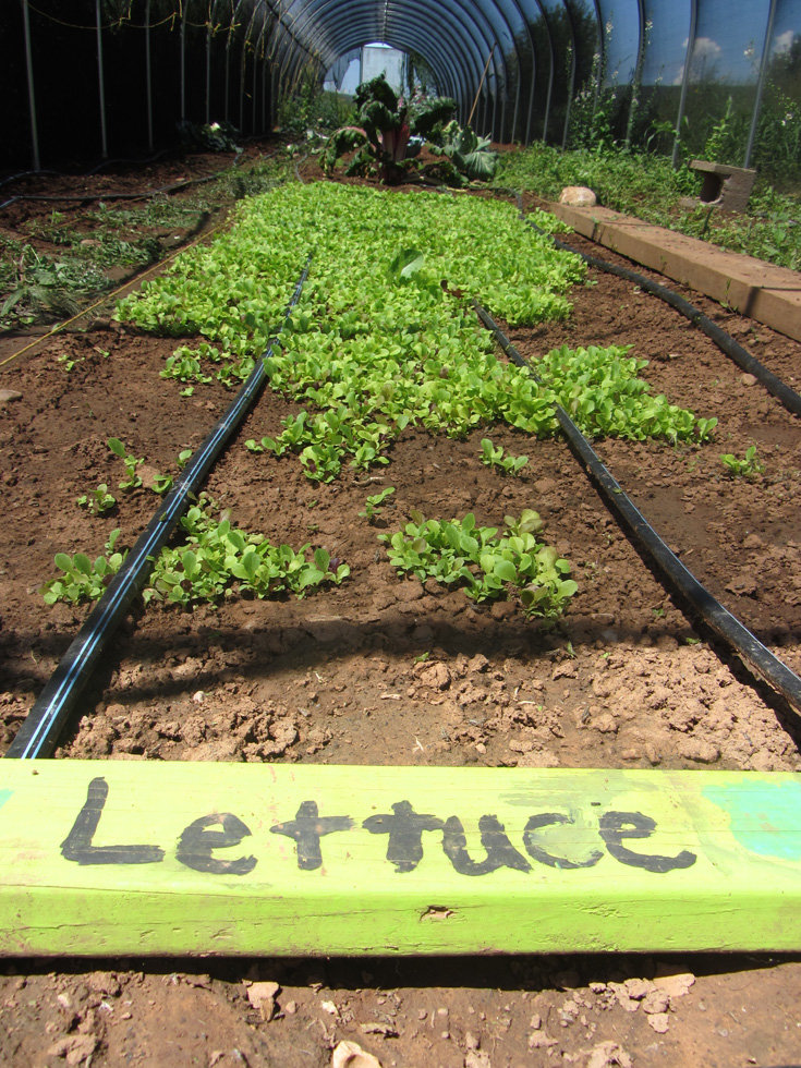 Decolonizing Education with White Mountain Apaches