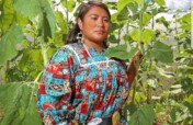 Food & Water Access for White Mountain Apaches