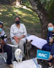 Spay and Neuter working day
