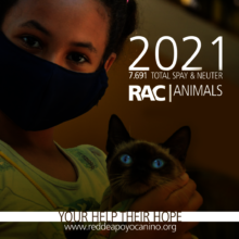 Total Venezuelan Animals helped  in 2022