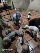 Food Bank beneficiary in Caracas