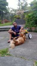 Rescued handicapped Valiente in his foster home