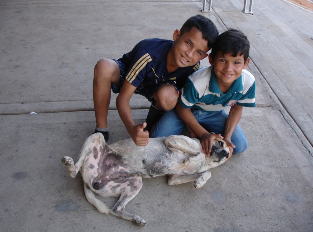 Give +10k dogs&cats in Venezuela a second chance