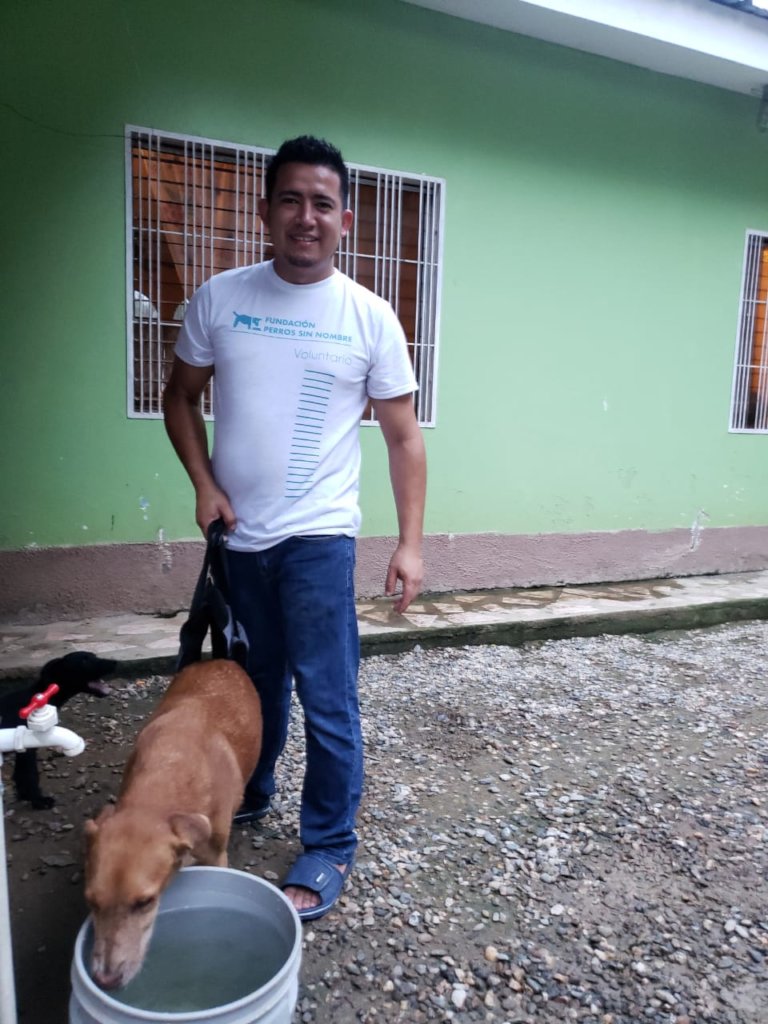 Second chances for stray dogs in Tela-Honduras